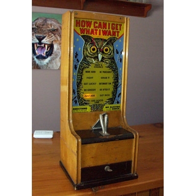 Wise Owl Arcade Game - 