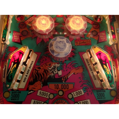 Gottlieb Jungle Queen Pinball Machine - 1977 Four Player Game in Excellent Condition