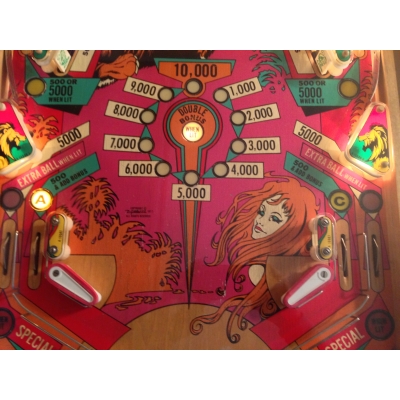 Gottlieb Jungle Queen Pinball Machine - 1977 Four Player Game in Excellent Condition